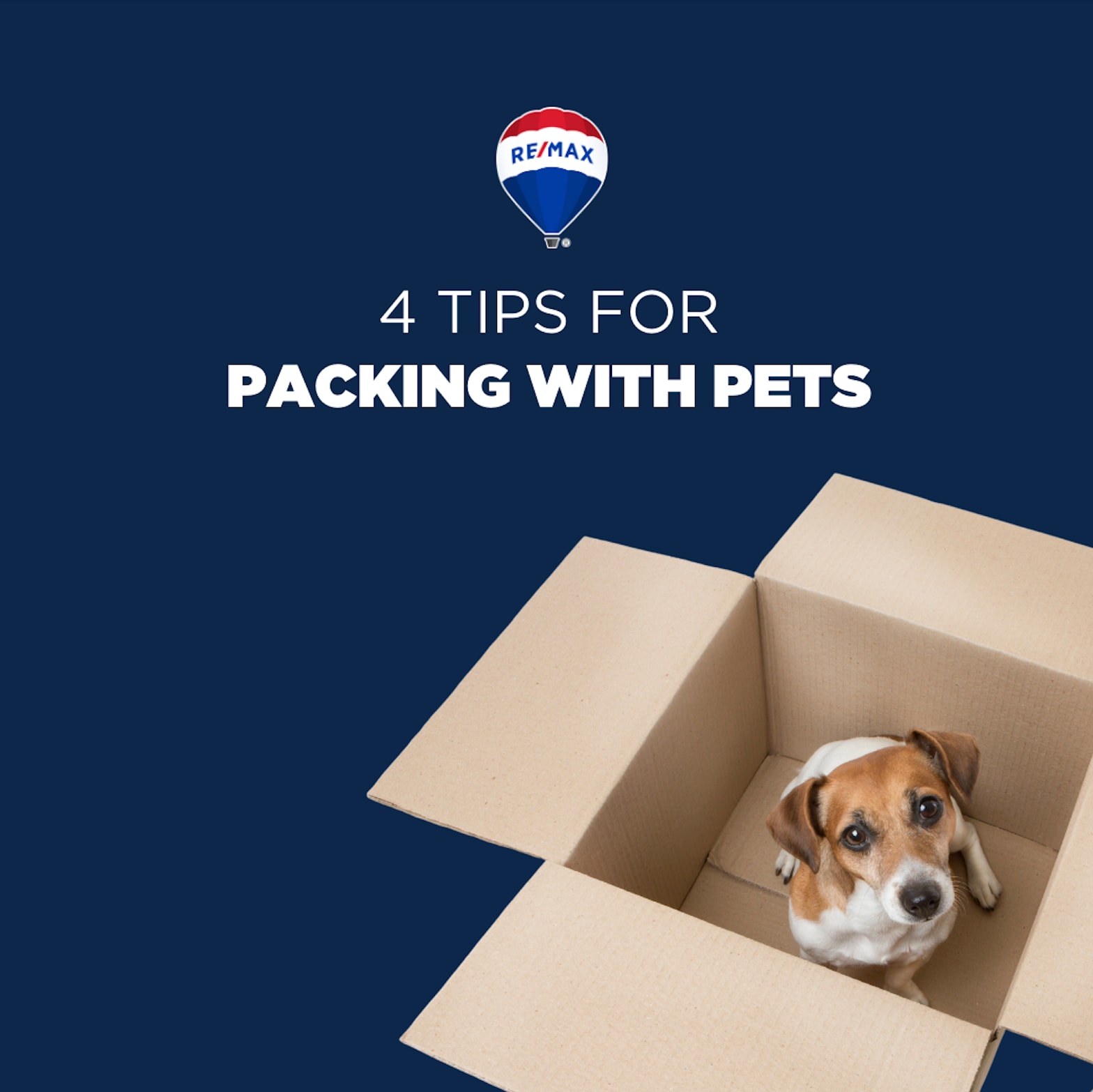 Screenshot 2024-03-22 at 4.27.02 PM